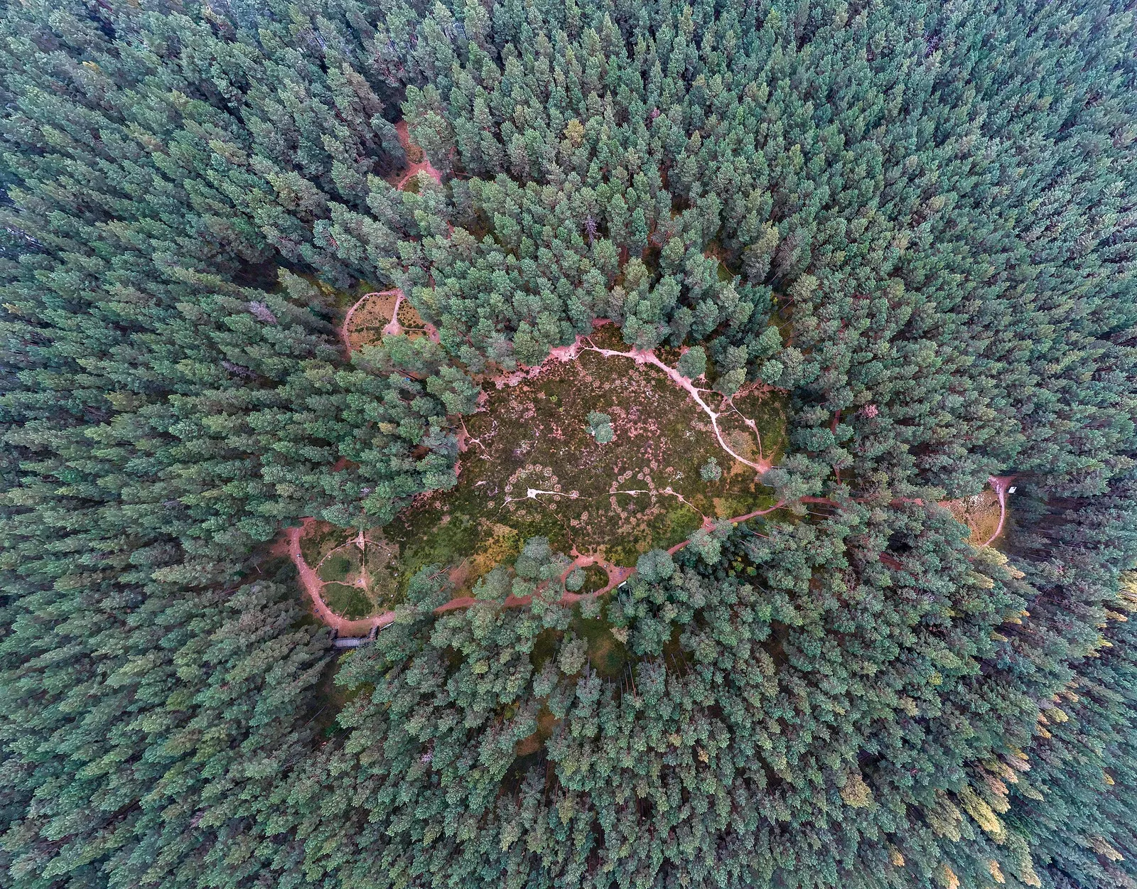 Stone Circles at Odry